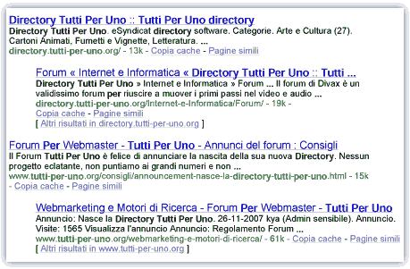 Con la nuova gestione dei sottodomini Google eliminerà tutti i risultati da uno stesso sito oltre i canonici 2
